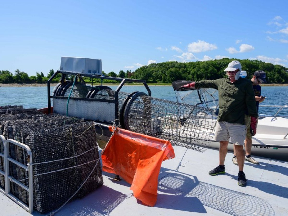 Person standing on the dock next to oyster cages